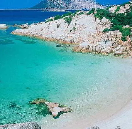 Ambra * San Teodoro (Sardinia)
